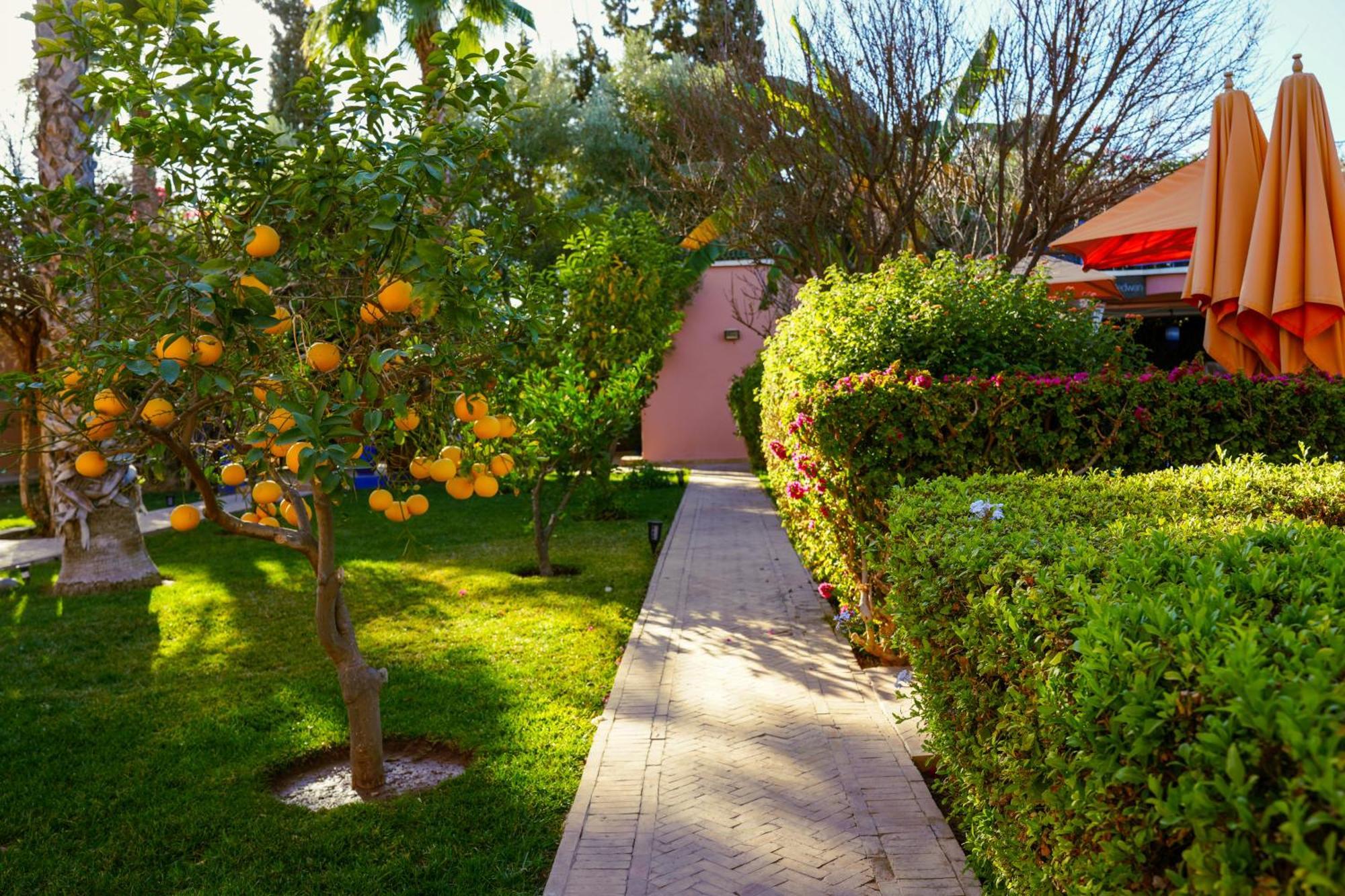 Riad Redwan Douar Caid Layadi Bagian luar foto