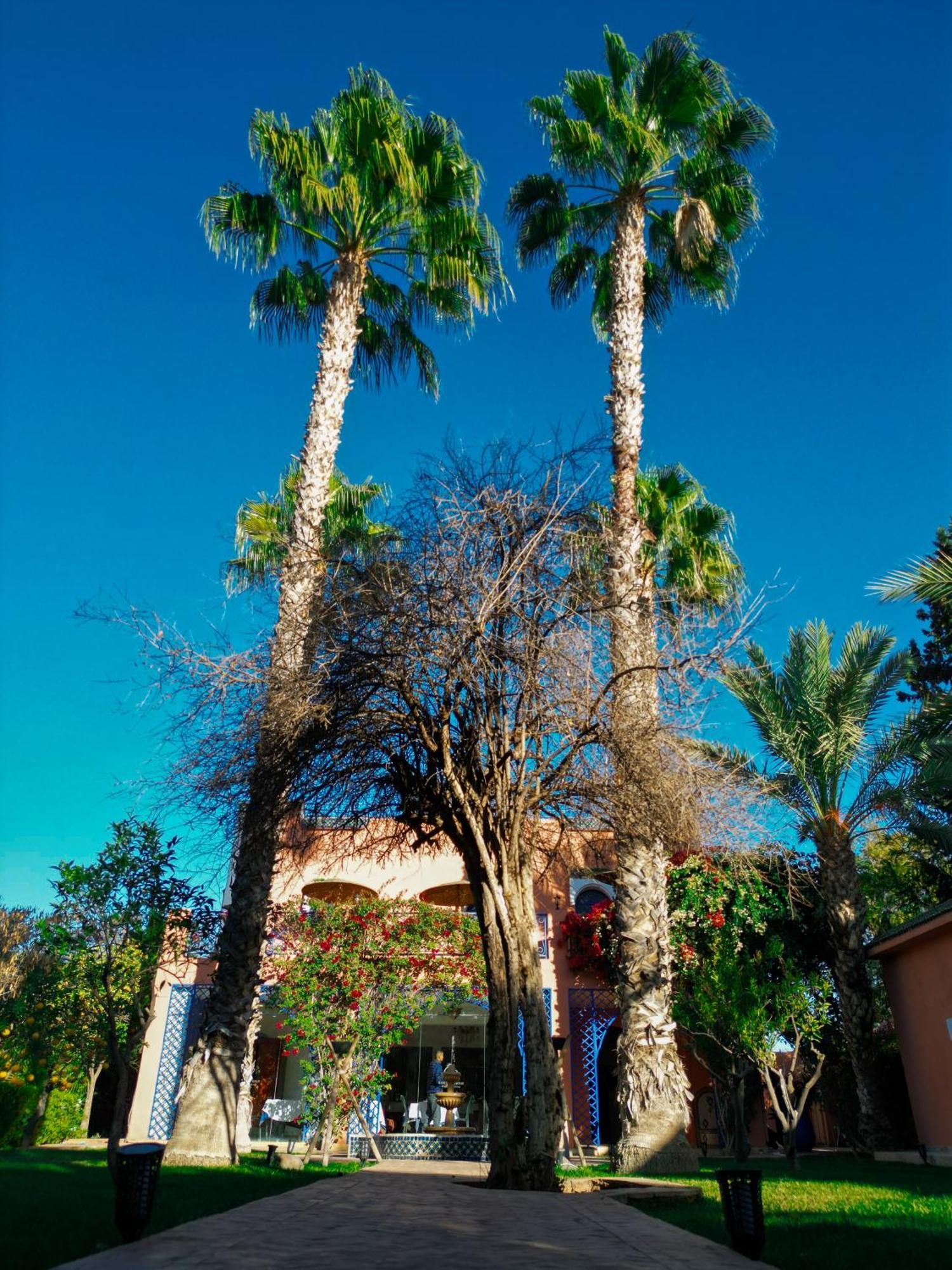 Riad Redwan Douar Caid Layadi Bagian luar foto